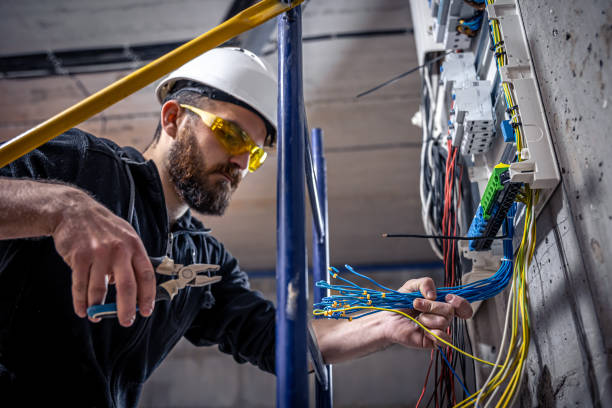 Best Electric Panel Repair  in Cokato, MN